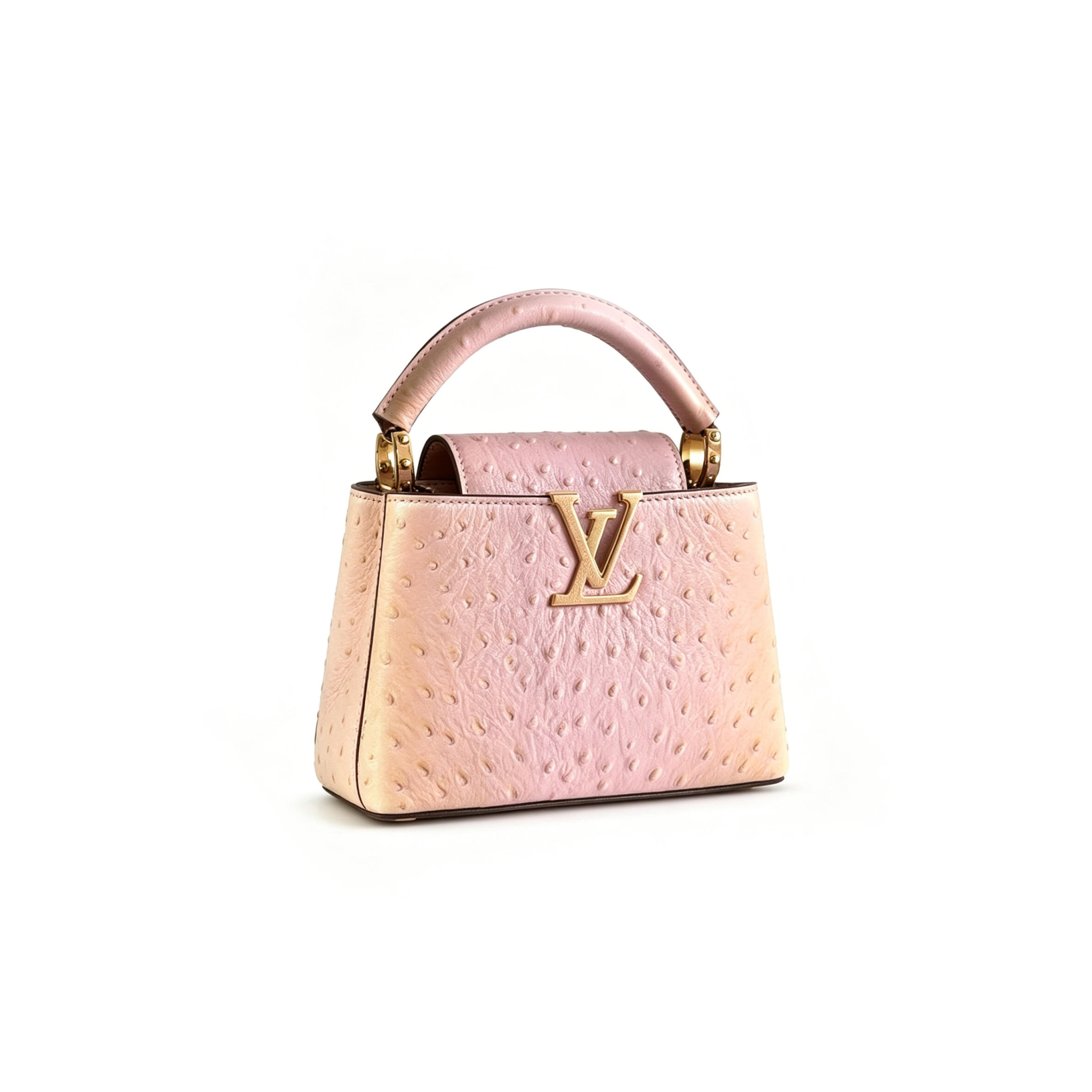 LOUIS VUITTON MASTER CAPUCINES MINI N85511 (21*14*8cm)